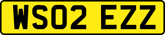 WS02EZZ