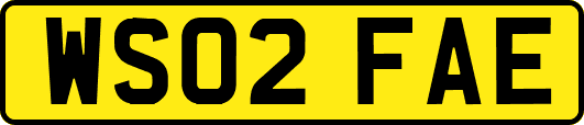 WS02FAE