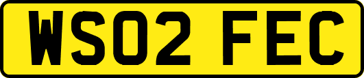 WS02FEC