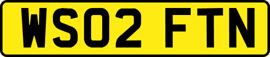 WS02FTN