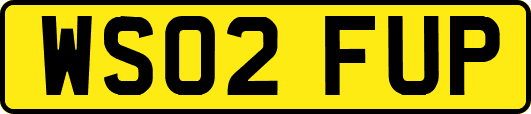 WS02FUP