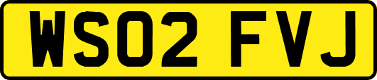WS02FVJ