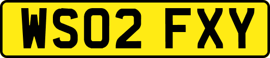 WS02FXY