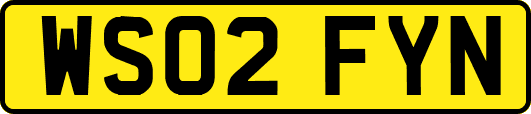 WS02FYN