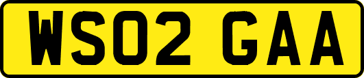 WS02GAA