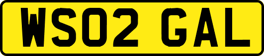 WS02GAL