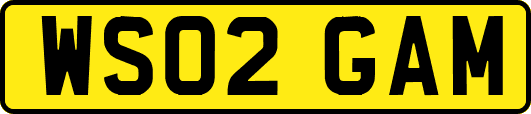 WS02GAM