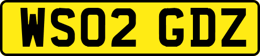 WS02GDZ