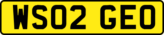 WS02GEO