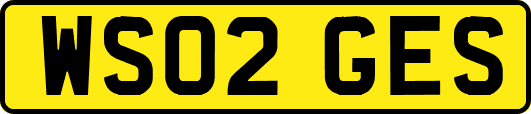 WS02GES