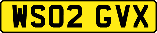 WS02GVX
