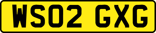 WS02GXG