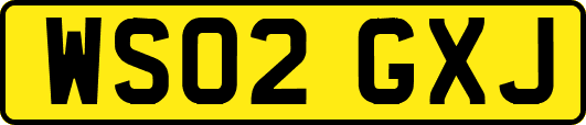 WS02GXJ