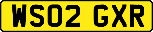 WS02GXR