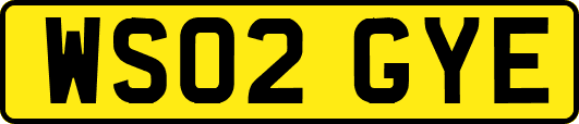 WS02GYE