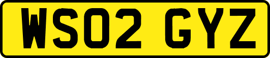 WS02GYZ