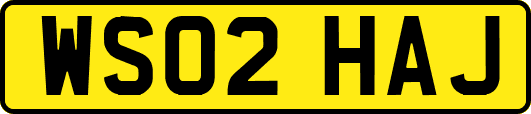 WS02HAJ