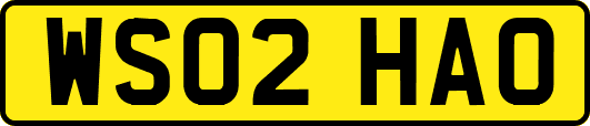 WS02HAO
