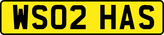 WS02HAS