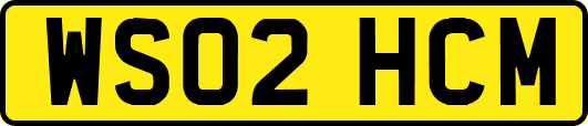 WS02HCM