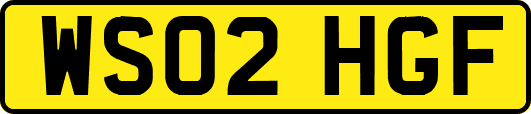 WS02HGF