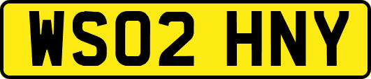WS02HNY