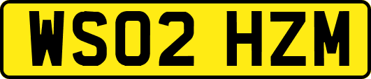 WS02HZM