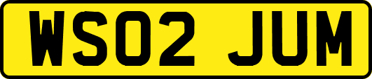 WS02JUM