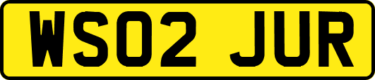 WS02JUR