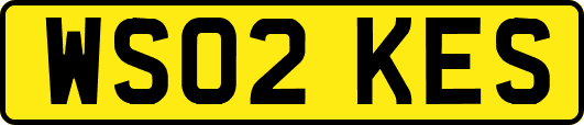 WS02KES