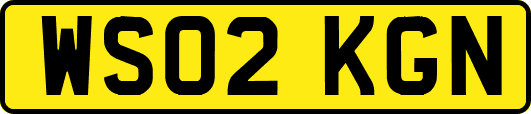 WS02KGN