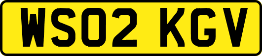WS02KGV
