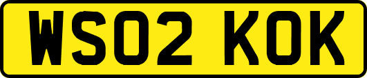 WS02KOK