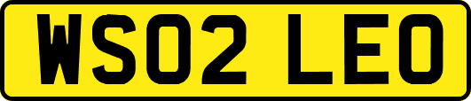 WS02LEO