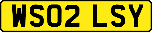 WS02LSY