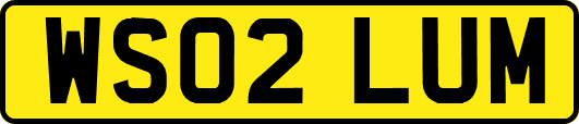 WS02LUM