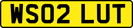 WS02LUT