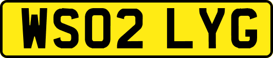 WS02LYG