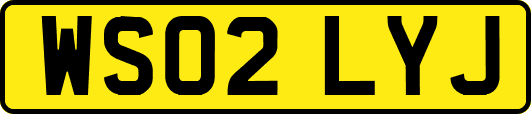 WS02LYJ