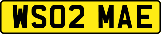 WS02MAE
