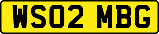 WS02MBG