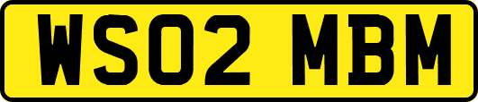 WS02MBM