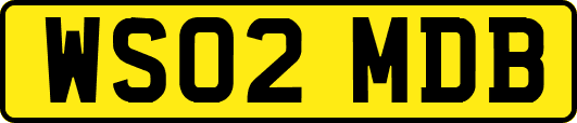 WS02MDB