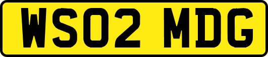 WS02MDG