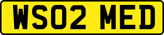 WS02MED