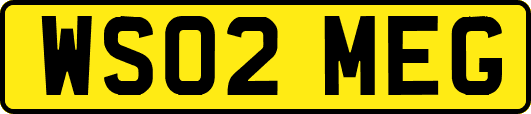 WS02MEG