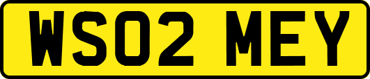 WS02MEY