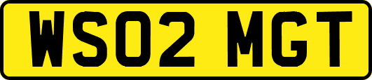 WS02MGT
