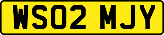 WS02MJY