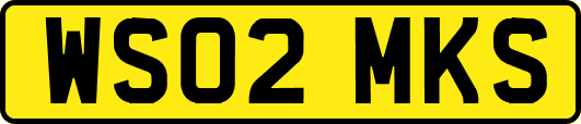 WS02MKS
